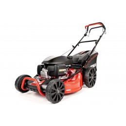 Cedrus CEDKS53S-H...