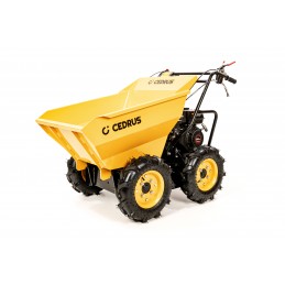 Cedrus CEDTR300 Transporter...